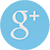 Google+ icon 50px